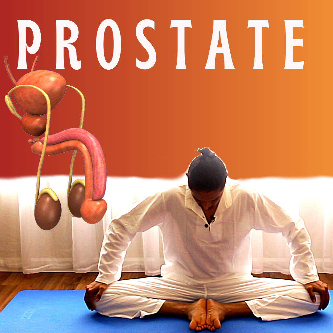 Roga Pain Yoga | Yoga Positions For Prostate Gland - video Dailymotion