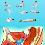 Prostate-Health-Exercises
