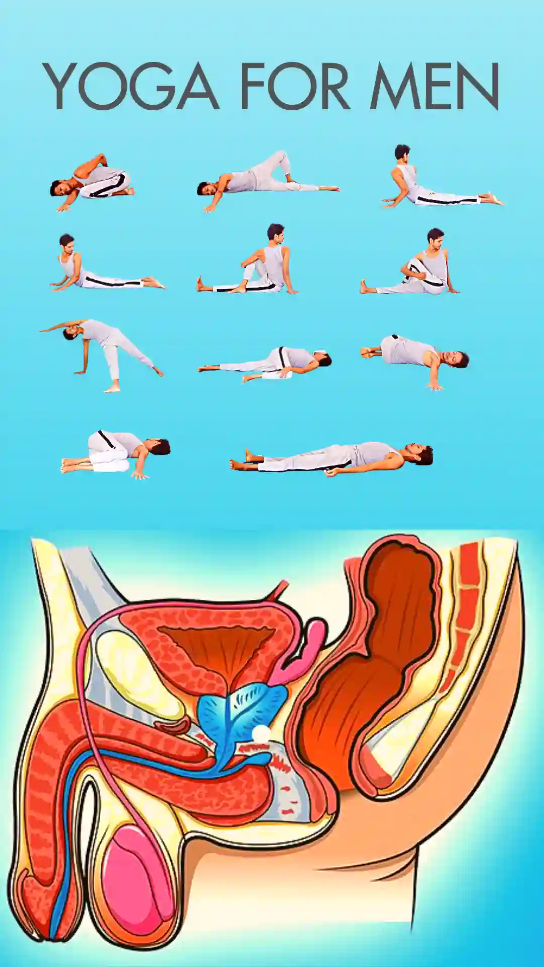 Prostate-Health-Exercises