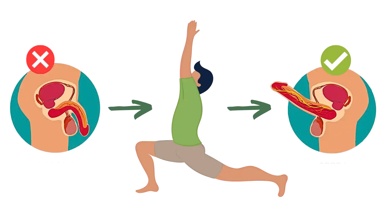 Erectile-dysfunction-yoga